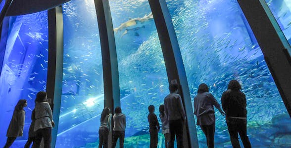 Hakkeijima Meer Paradies