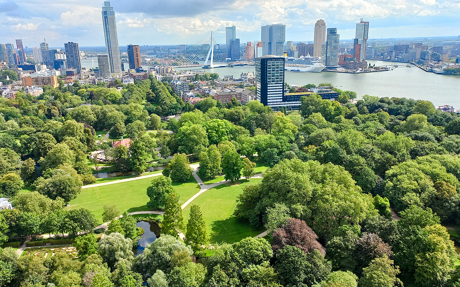 Aerial view of Het Park in Rotterdam with city skyline and Erasmus Bridge in the background.
