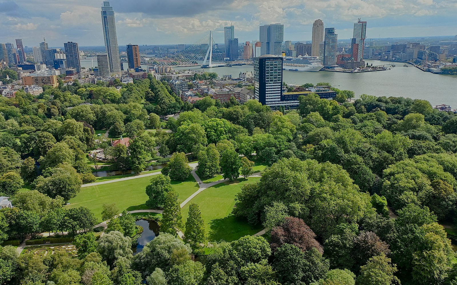 Aerial view of Het Park in Rotterdam with city skyline and Erasmus Bridge in the background.