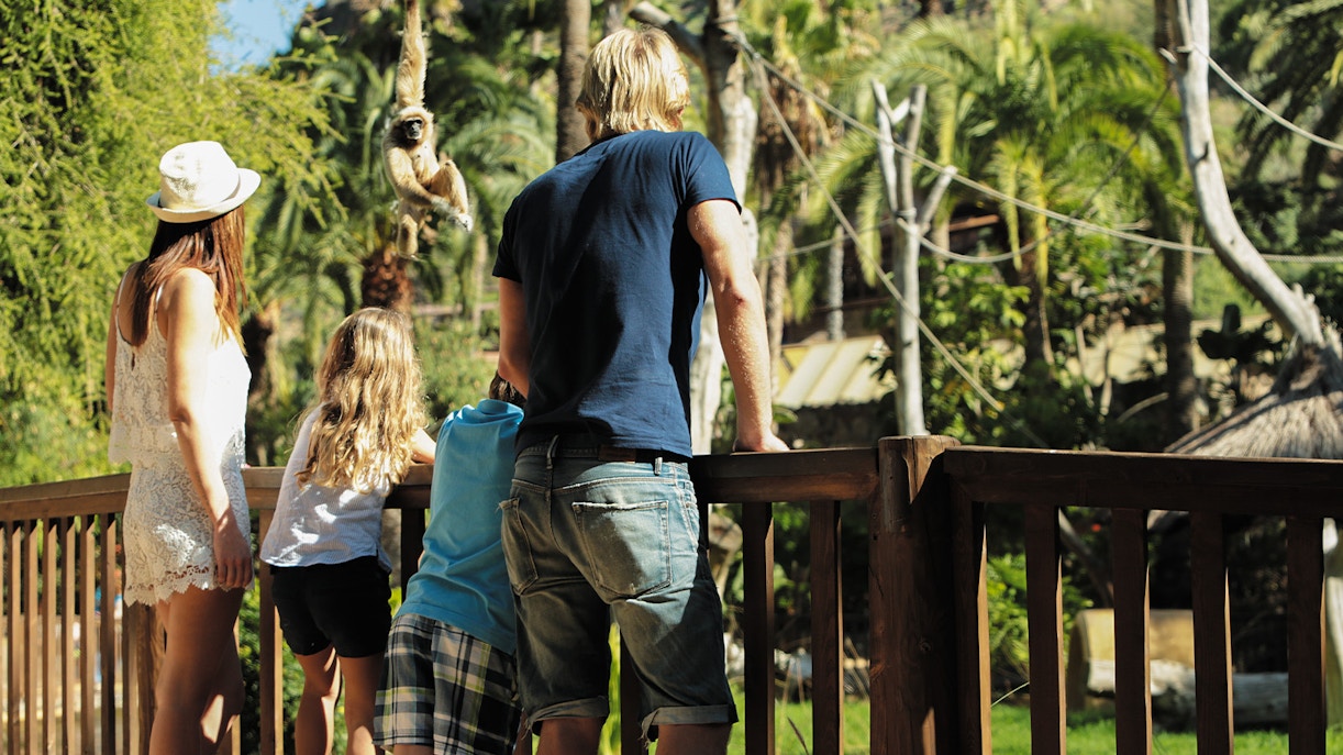 Tourists observing a monkey at Palmitos Park, Gran Canaria.