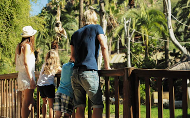Tourists observing a monkey at Palmitos Park, Gran Canaria.
