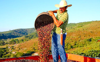 Farmer pouring coffee cherries in Coffee Valley, Rio de Janeiro, with scenic hills in the background.