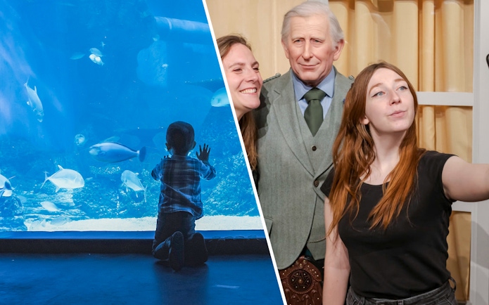Child watching fish at Paris Aquarium exhibit.