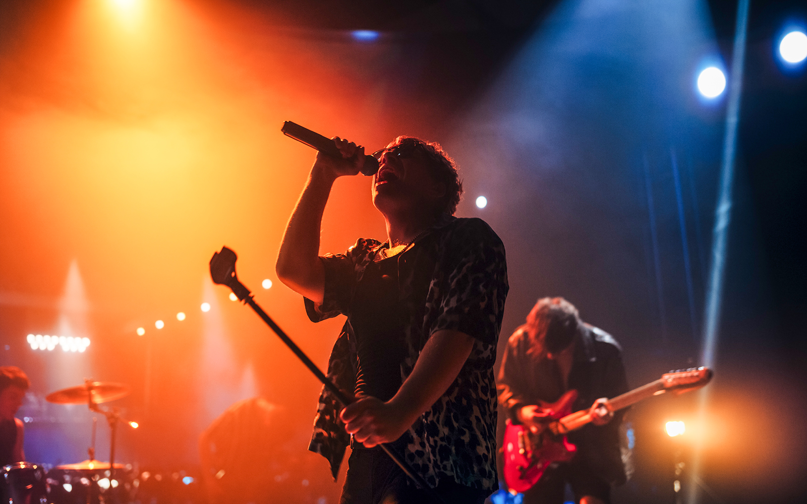 Portrait of a Lead Singer Performing on stage