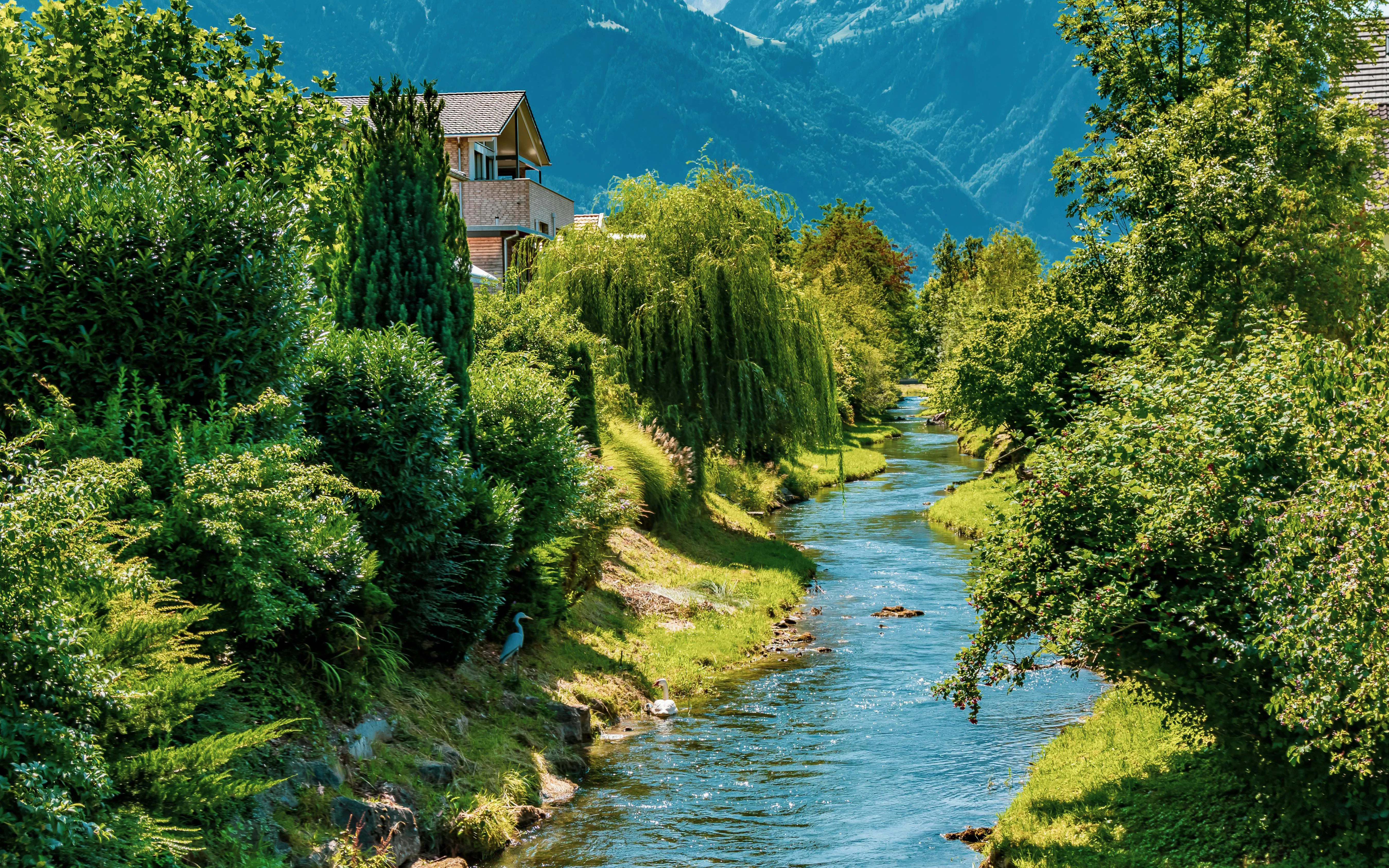 River flowing through lush greenery in Vaduz, Liechtenstein.