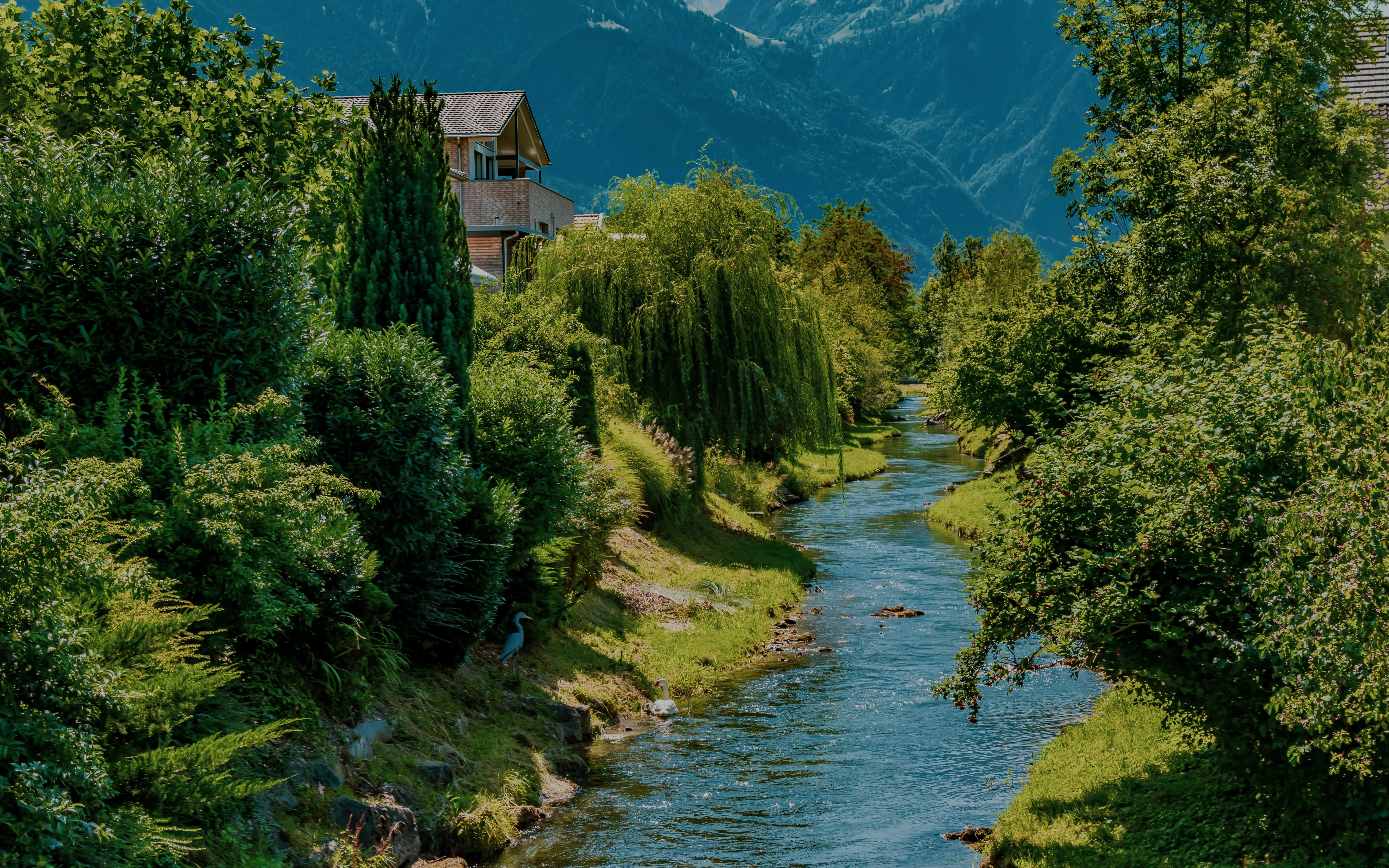 River flowing through lush greenery in Vaduz, Liechtenstein.
