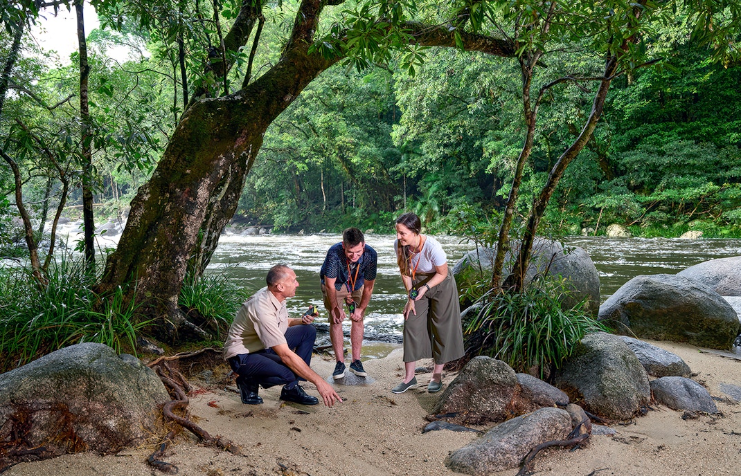 Daintree National Park