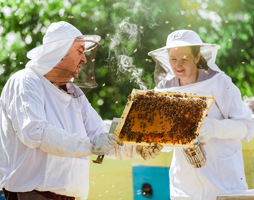 Beekeepers extracting honey at Buckingham Palace, London.