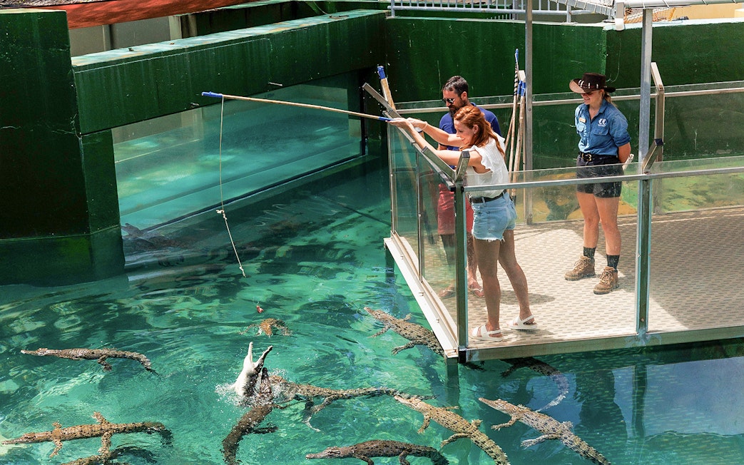 Visitors feeding crocodiles from a platform at Crocosaurus Cove, Darwin.