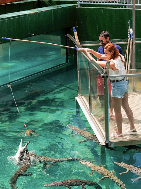 Visitors feeding crocodiles from a platform at Crocosaurus Cove, Darwin.