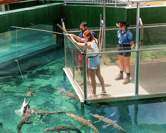 Crocosaurus Cove Tickets with VIP Tour
