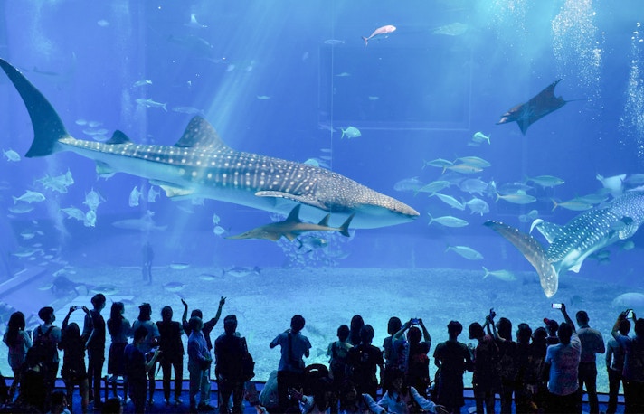 Aquaria KLCC