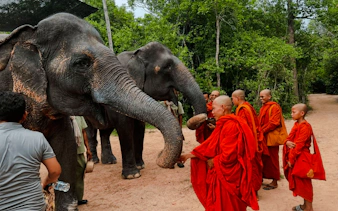 {
"experiencename": "from siem reap: kulen mountain waterfall & kulen elephant forest tour with picnic lunch"
}-1