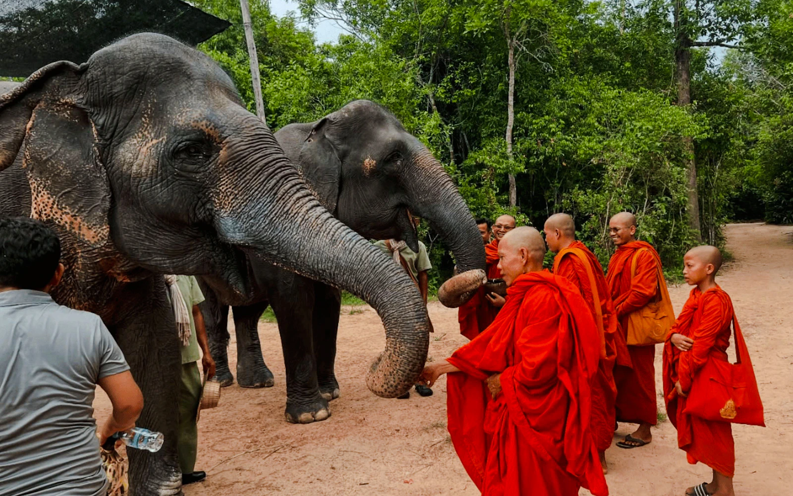 { "experienceName": "From Siem Reap: Kulen Mountain Waterfall & Kulen Elephant Forest Tour with Picnic Lunch"
} (Product 54845)