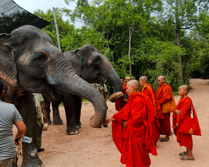 { "experienceName": "From Siem Reap: Kulen Mountain Waterfall & Kulen Elephant Forest Tour with Picnic Lunch" }