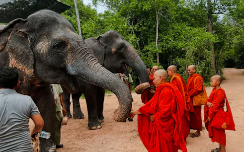 {
"experiencename": "from siem reap: kulen mountain waterfall & kulen elephant forest tour with picnic lunch"
}-1