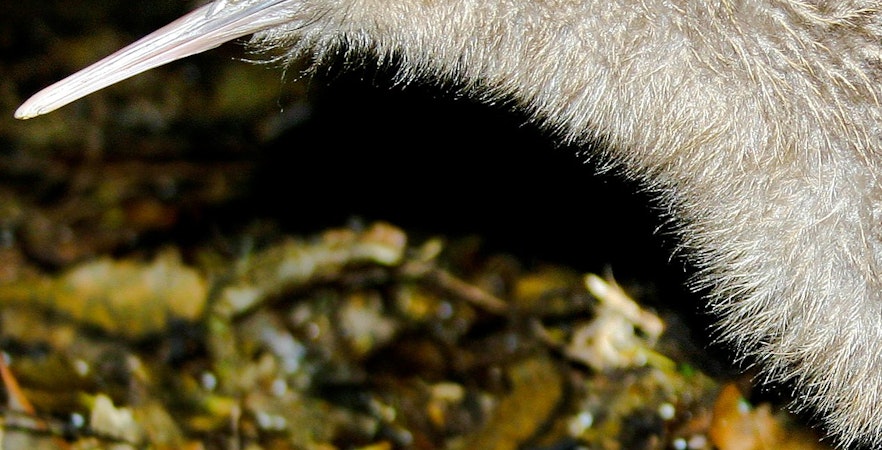 Willowbank Natuurreservaat