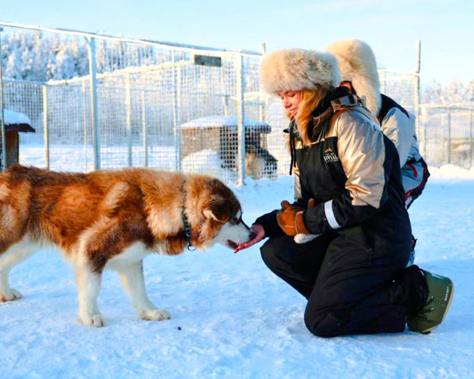 Rovaniemi: Short Husky Ride & Farm Visit (Product 55296)