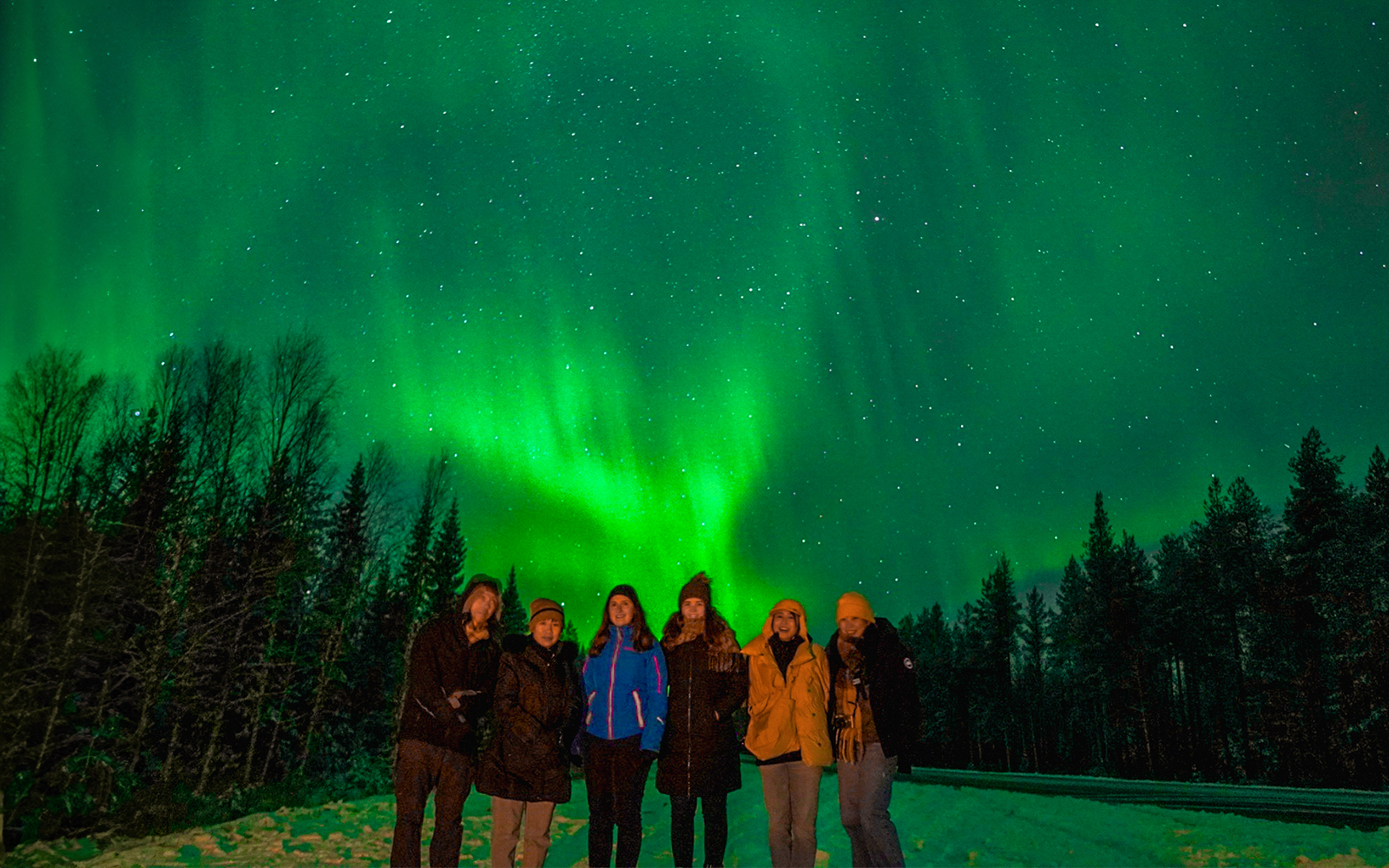 Northern Lights over snowy Rovaniemi landscape with silhouetted trees.