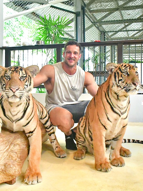 Man posing with two tigers at Tiger Park Pattaya enclosure.