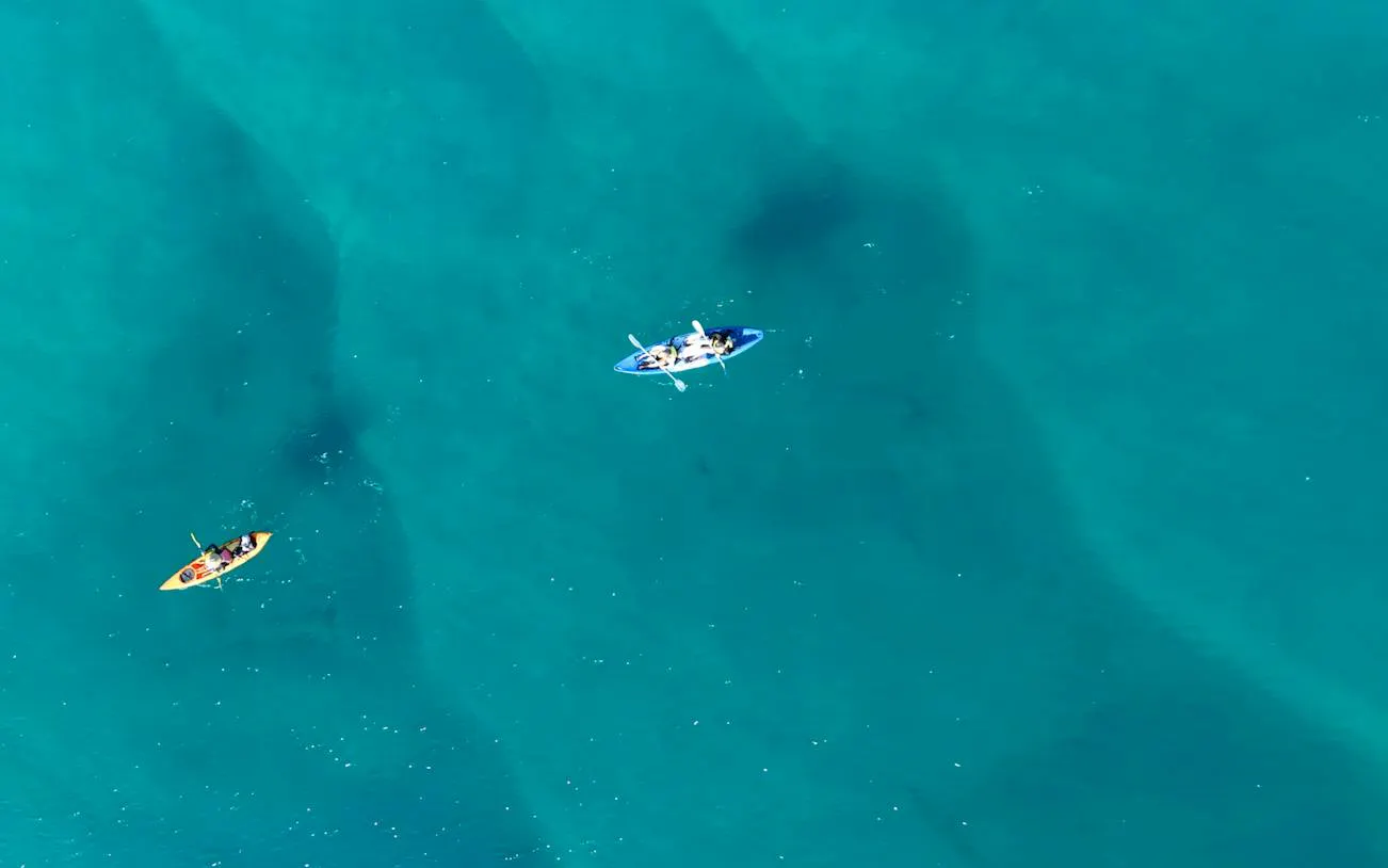 Kayakers paddling in clear blue waters during Gold Coast snorkeling tour.
