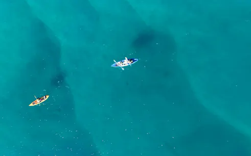 Kayakers paddling in clear blue waters during Gold Coast snorkeling tour.