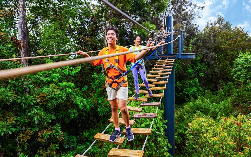 People crossing a rope bridge in a lush Asian rainforest during Wild Apex Adventure.