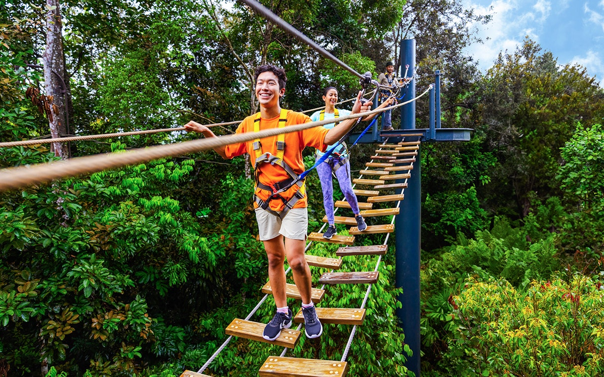 People crossing a rope bridge at Wild Apex Adventure, Langur Observation Deck, Rainforest Wild ASIA.