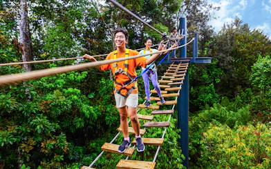 People crossing a rope bridge in a lush Asian rainforest during Wild Apex Adventure.
