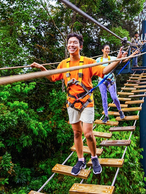 People crossing a rope bridge in a lush Asian rainforest during Wild Apex Adventure.