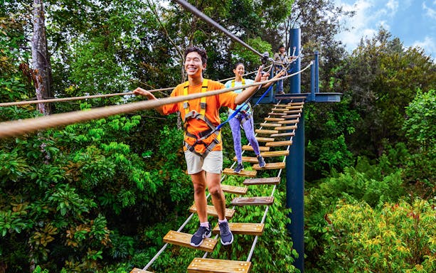 People crossing a rope bridge at Wild Apex Adventure, Langur Observation Deck, Rainforest Wild ASIA.