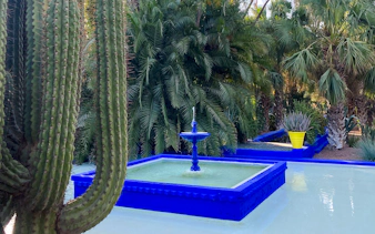 Fountain surrounded by cacti and palm trees at Jardin Majorelle, Marrakech.
