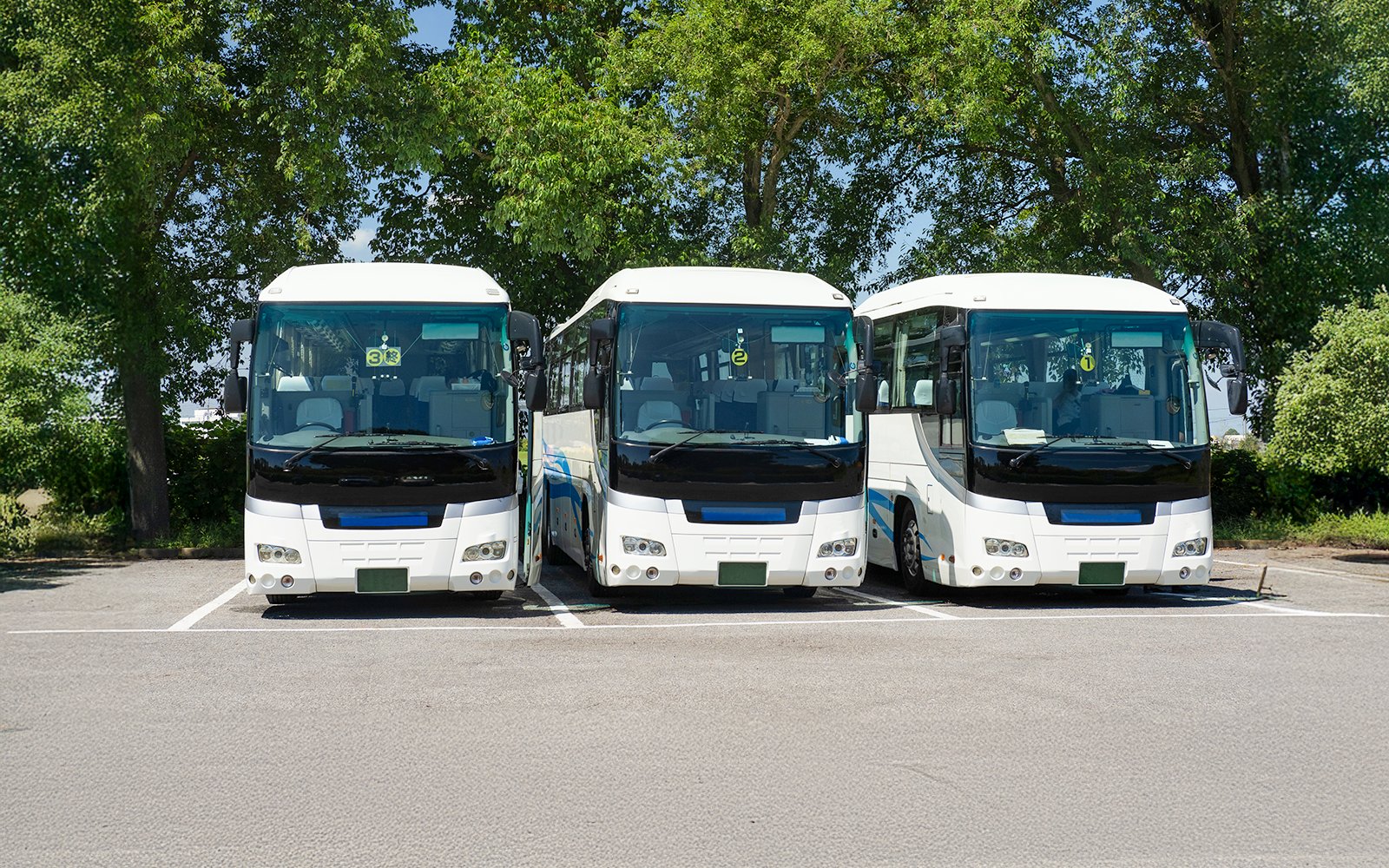 Tour buses parked in Japan under green trees.