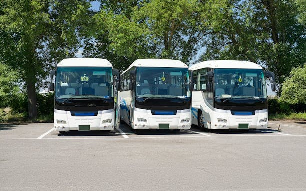 Tour buses parked in Japan under green trees.