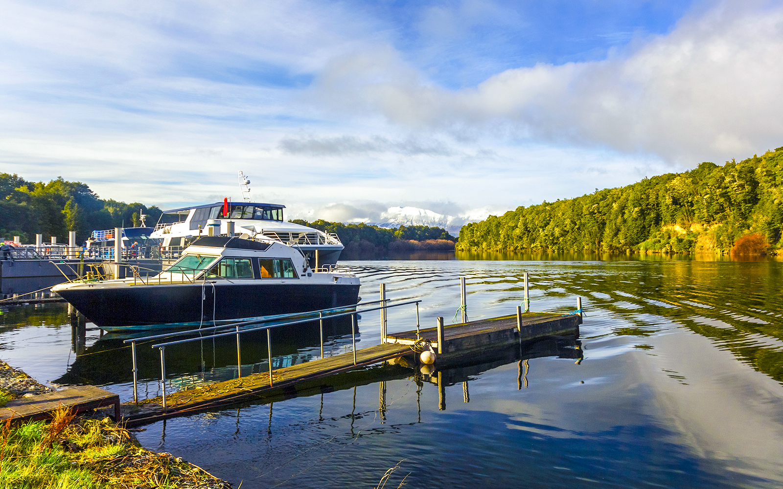 Manapouri Pearl Harbour