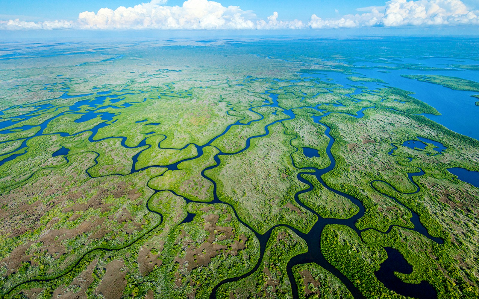 Aerial view of winding waterways in Everglades National Park, Florida, USA.