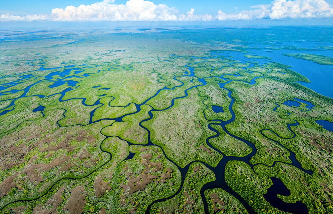 Aerial view of winding waterways in Everglades National Park, Florida, USA.