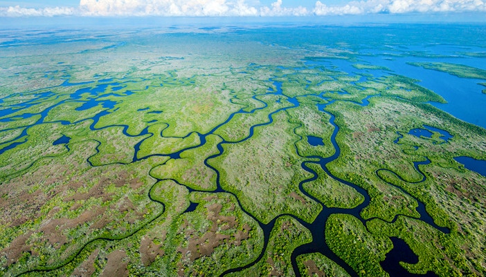 Aerial view of winding waterways in Everglades National Park, Florida, USA.
