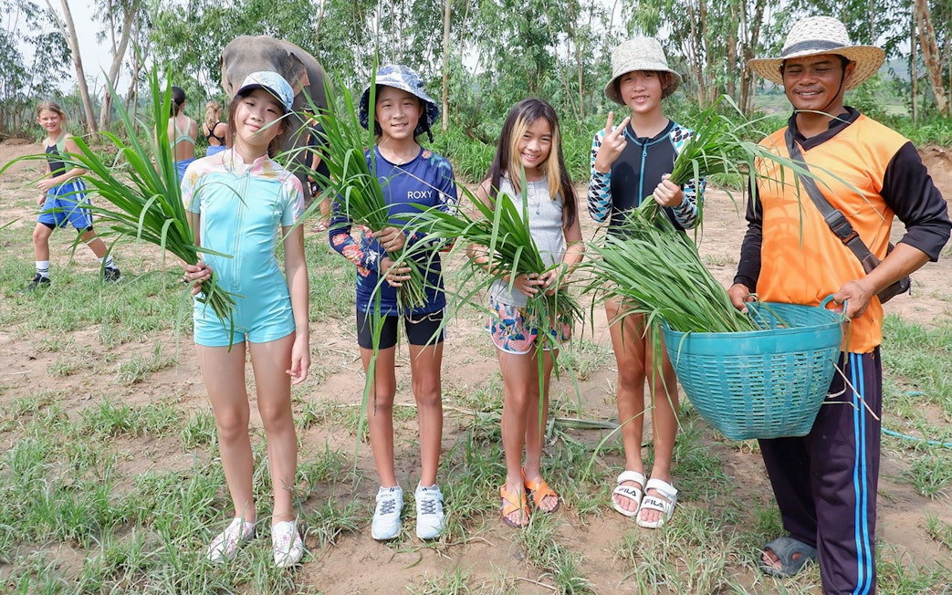 Children and guide holding grass at Elephant Jungle Sanctuary, Pattaya.