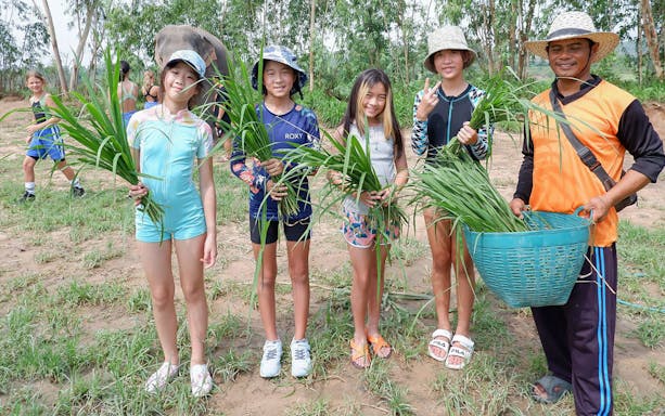 Children and guide holding grass at Elephant Jungle Sanctuary, Pattaya.