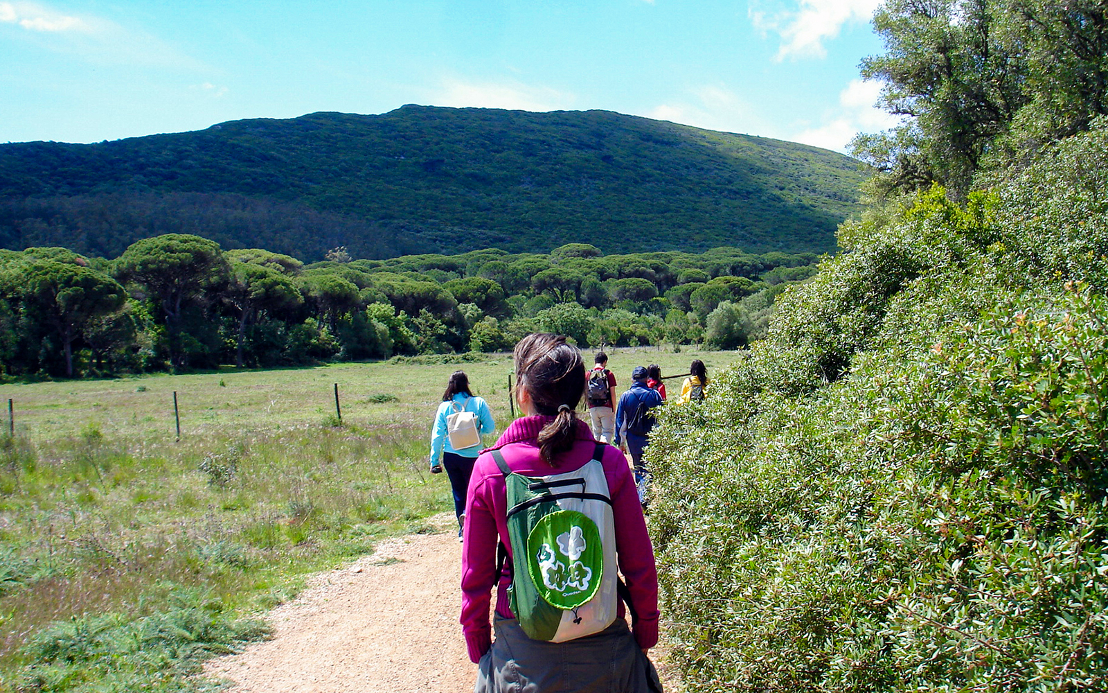 Hikers walking on a trail in Arrábida Natural Park surrounded by lush greenery.