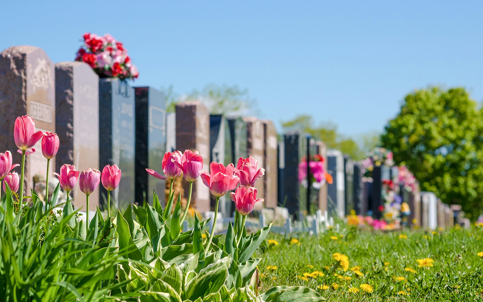 Vienna Central Cemetery, Zentralfriedhof