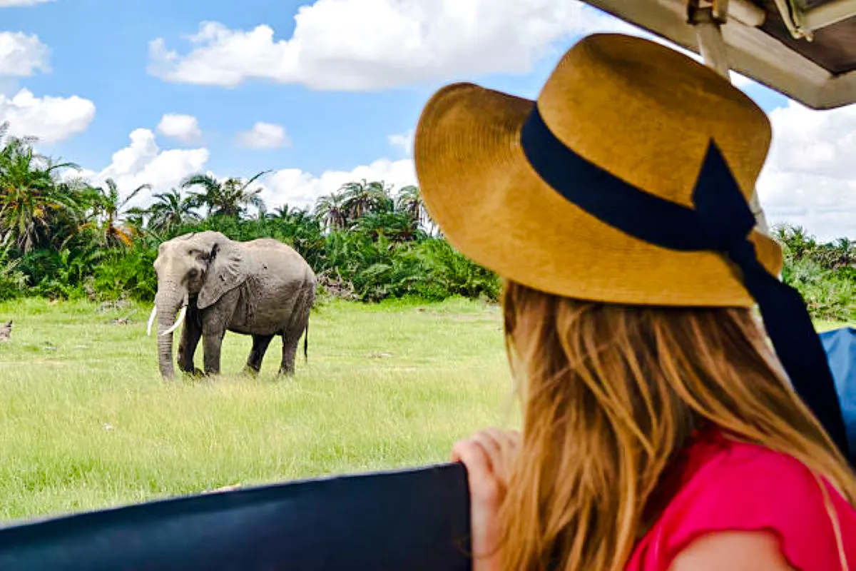 Woman observing elephant from safari vehicle in Amboseli National Park, Kenya.