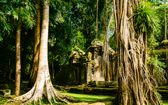 visite privée du lever du soleil à angkor wat-3