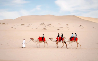 Camel ride in Abu Dhabi desert during evening safari.