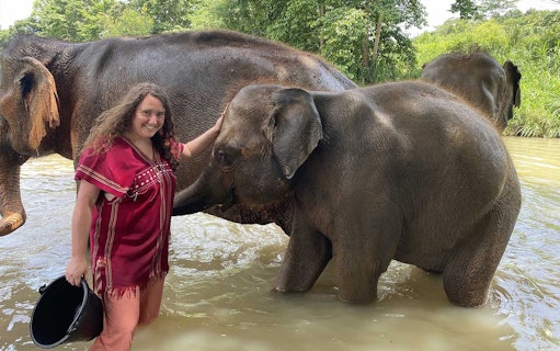 Tourist interacting with elephants in a river during a bathing experience.