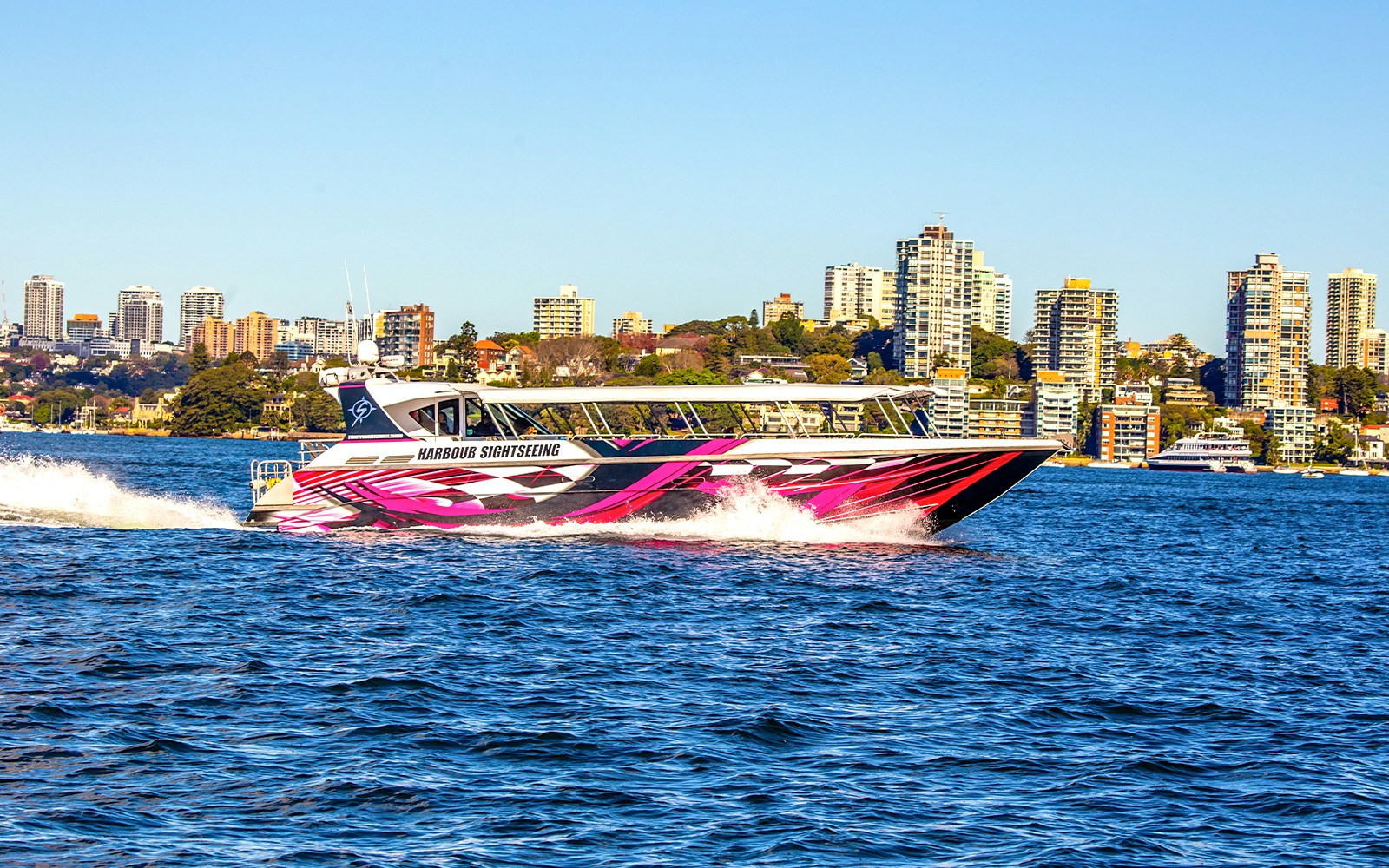 Whale Watching Express Cruise in Syndey Harbour