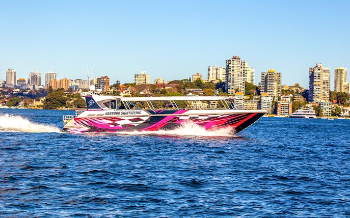 Whale watching cruise boat in Sydney Harbour with city skyline in background.