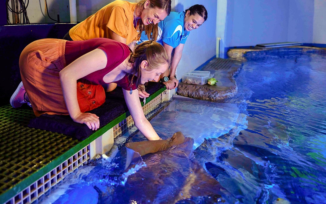 Guest at Cairns Aquarium