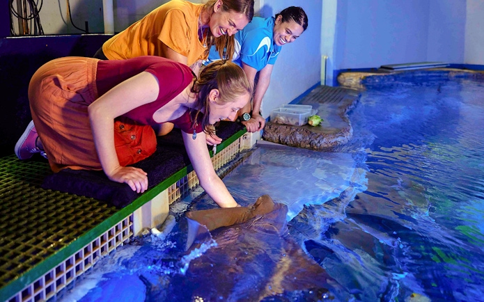 Guest at Cairns Aquarium